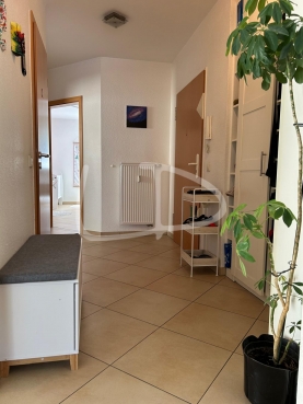 WhatsApp Image 2024-06-25 at 00.30.56 (36).jpeg